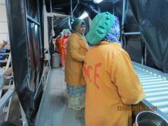 IMG_0902.JPG