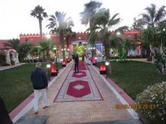 IMG_0924.JPG