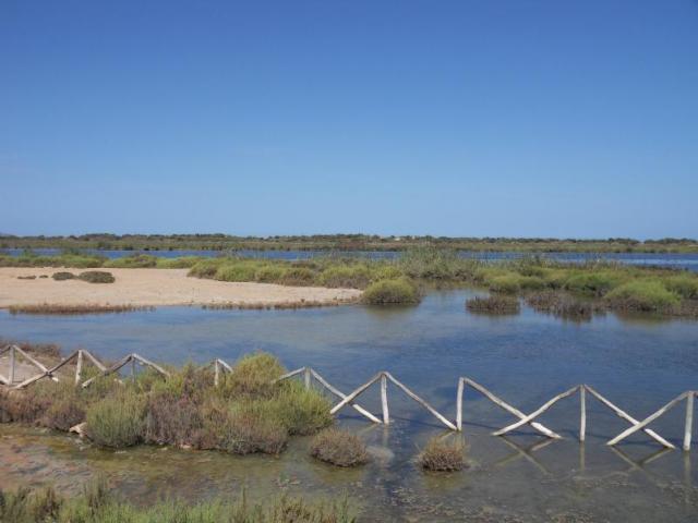 SDC19011.JPG