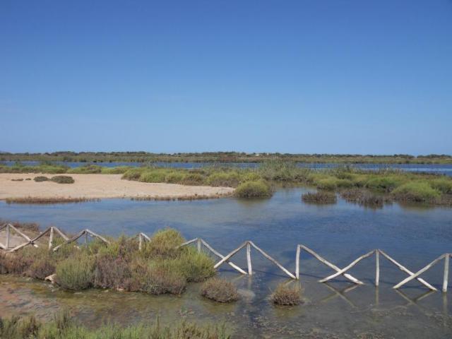 SDC19011.JPG