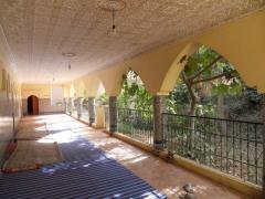SDC19074.JPG