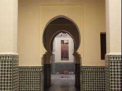 SDC19087.JPG