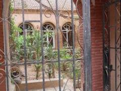 SDC19138.JPG